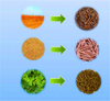 Wood Pelletizing Machine